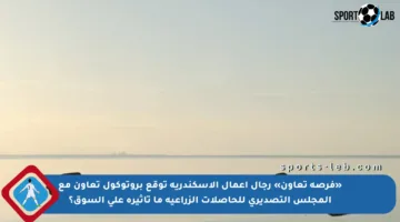 «فرصة تعاون» رجال أعمال الإسكندرية توقع بروتوكول تعاون مع المجلس التصديري للحاصلات الزراعية ما تأثيره على السوق؟